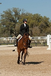 Hunter in Ring on Flat