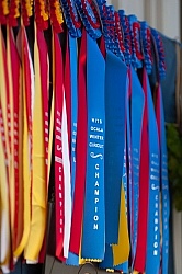 HITS March 08 Horse Show Ribbons