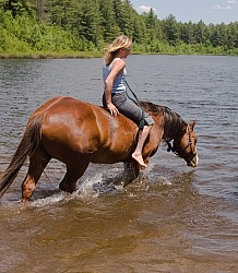 Summer Fun in the Lake at Otter Creek