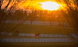 The Kentucky Horse Park at Sunset