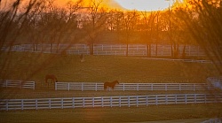 The Kentucky Horse Park at Sunset