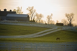The Kentucky Horse Park at Sunset