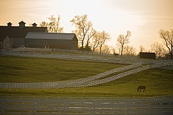 The Kentucky Horse Park at Sunset