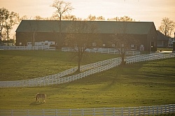The Kentucky Horse Park at Sunset