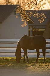 The Kentucky Horse Park at Sunset