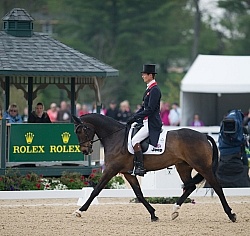 William Fox-Pitt and Bay My Hero Rolex 2014