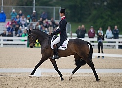 William Fox-Pitt and Bay My Hero Rolex 2014