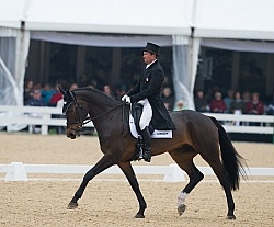 Phillip Dutton and Mighty Nice Rolex 2014