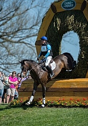 Phillip Dutton and Trading Aces Rolex 2014