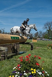 Andrew Nicholson and Avebury Rolex 2014