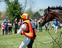 Sharon White and Rafferty's Rules take a fall at Rolex 2014