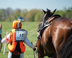 Sharon White and Rafferty's Rules take a fall at Rolex 2014