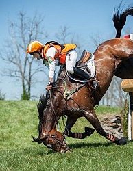 Sharon White and Rafferty's Rules take a fall at Rolex 2014