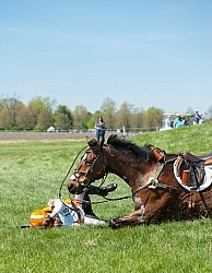 Sharon White and Rafferty's Rules take a fall at Rolex 2014