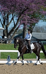 Gina Miles Schooling