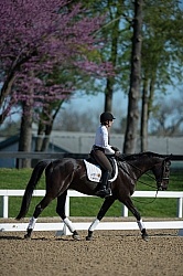 Gina Miles Schooling