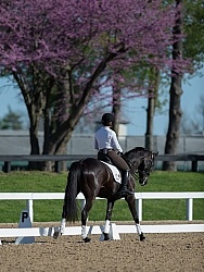 Gina Miles Schooling