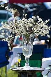 Tailgating Rolex 2014 Tailgating at Rolex