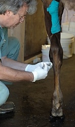 Joint Injection Joint Injections