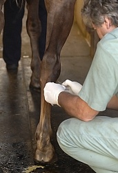 Joint Injection Joint Injections