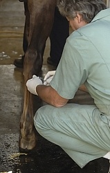 Joint Injection Joint Injections