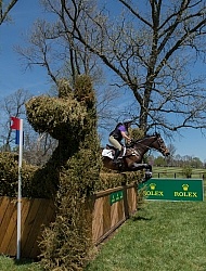 Sarah Cousins and Tsunami Rolex 2014