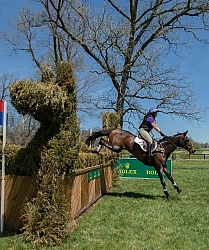 Sarah Cousins and Tsunami Rolex 2014