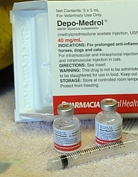 Joint Injection Joint Injections