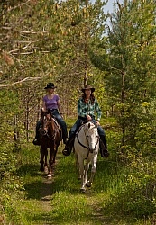 Trail Riding in the Ganny, Anne vavra Trail Riding Spring Summer