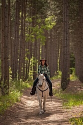 Trail Riding in the Ganny, Anne vavra Trail Riding Spring Summer