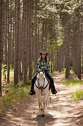 Trail Riding in the Ganny, Anne vavra Trail Riding Spring Summer