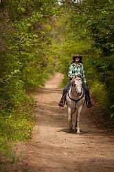 Trail Riding in the Ganny, Anne vavra Trail Riding Spring Summer