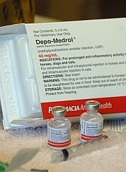 Joint Injection Joint Injections