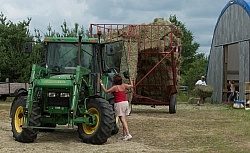 Baling hay