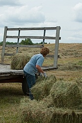 Loading Hay onto Wagon