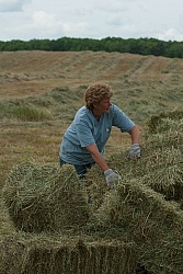 Loading Hay onto Wagon