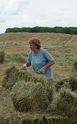 Loading Hay onto Wagon