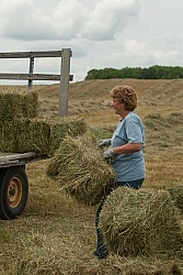 Loading Hay onto Wagon