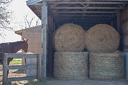Storing Round Bales