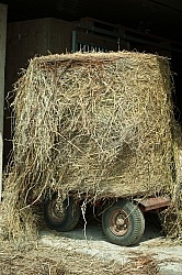 Transporting Round Bale 