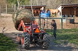 Transporting Round Bale