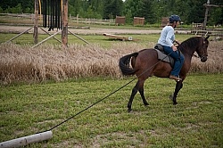 Horse Country Campground Riding the Obstacle Course at Horse Country Campgrounds