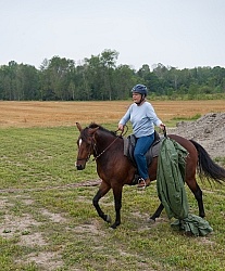Horse Country Campground Riding the Obstacle Course at Horse Country Campgrounds