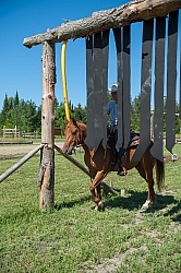 Horse Country Campground Riding Obstacle Course