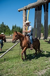 Horse Country Campground Riding Obstacle Course