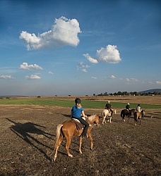 Trail Riding in Group
