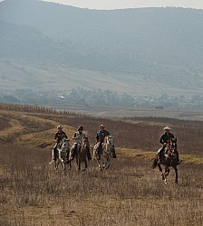 Trail Riding in Group
