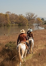 Trail Riding in Group