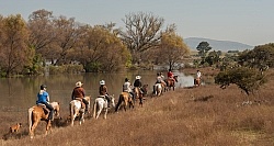 Trail Riding in Group