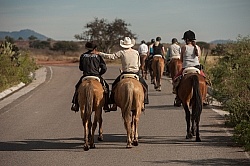 Trail Riding in Group